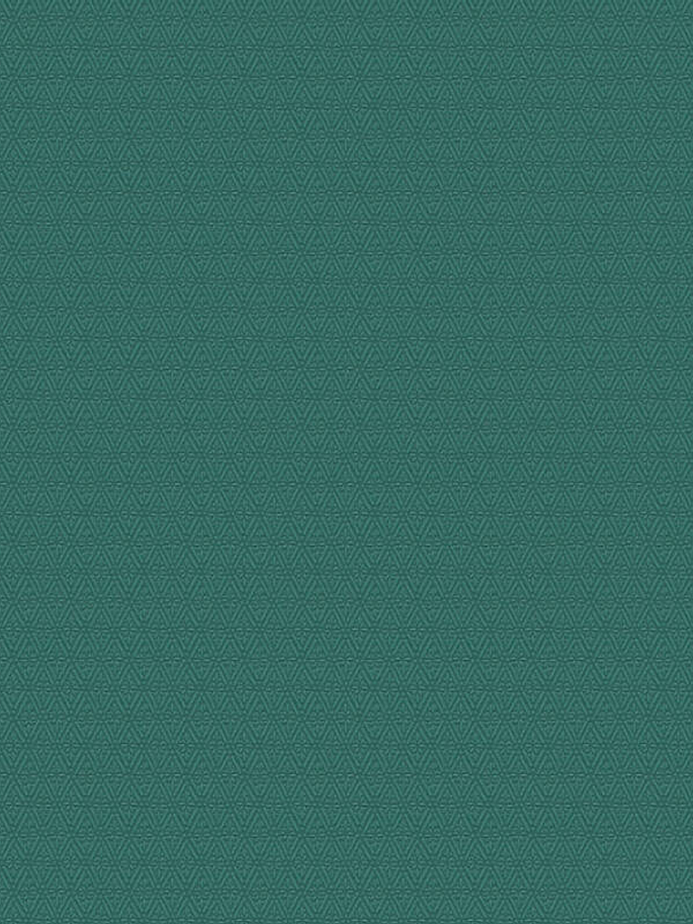 374712 (3 CM) - ASIAN FUSION 1