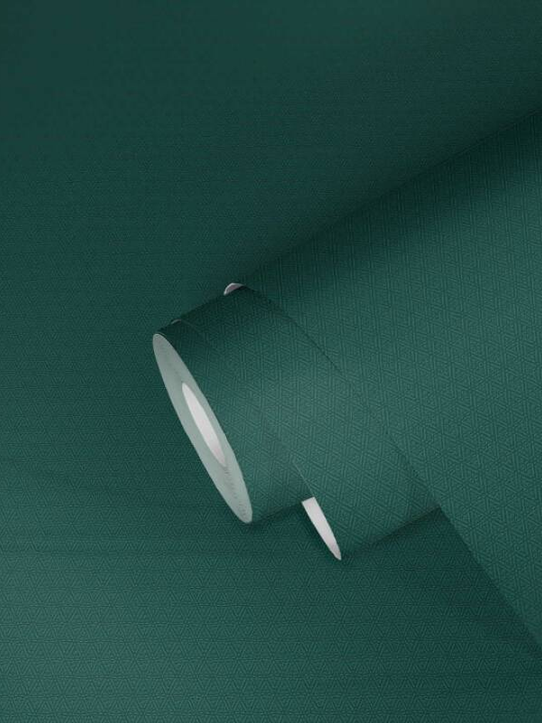 374712 (3 CM) - ASIAN FUSION 2