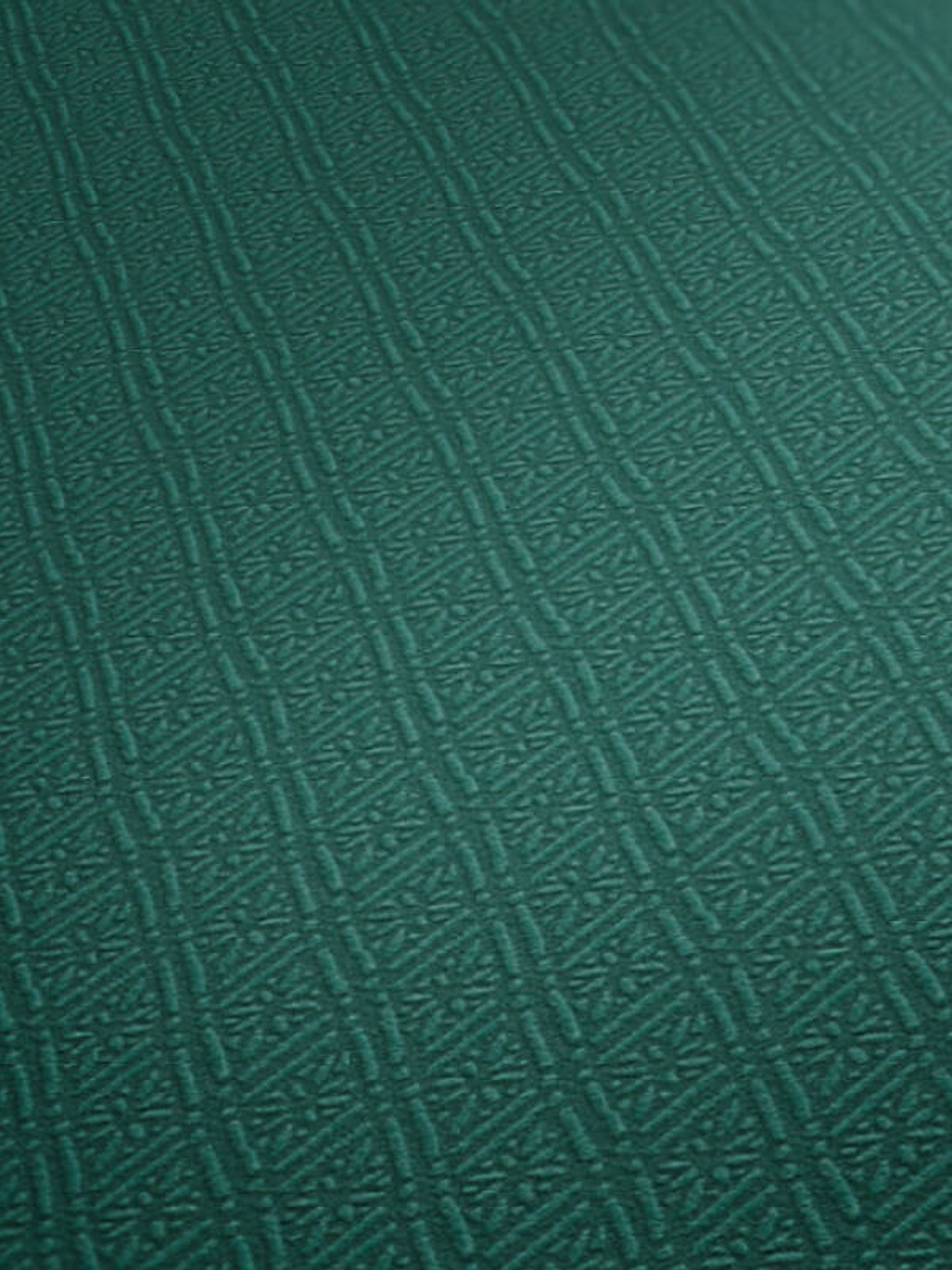 374712 (3 CM) - ASIAN FUSION 3