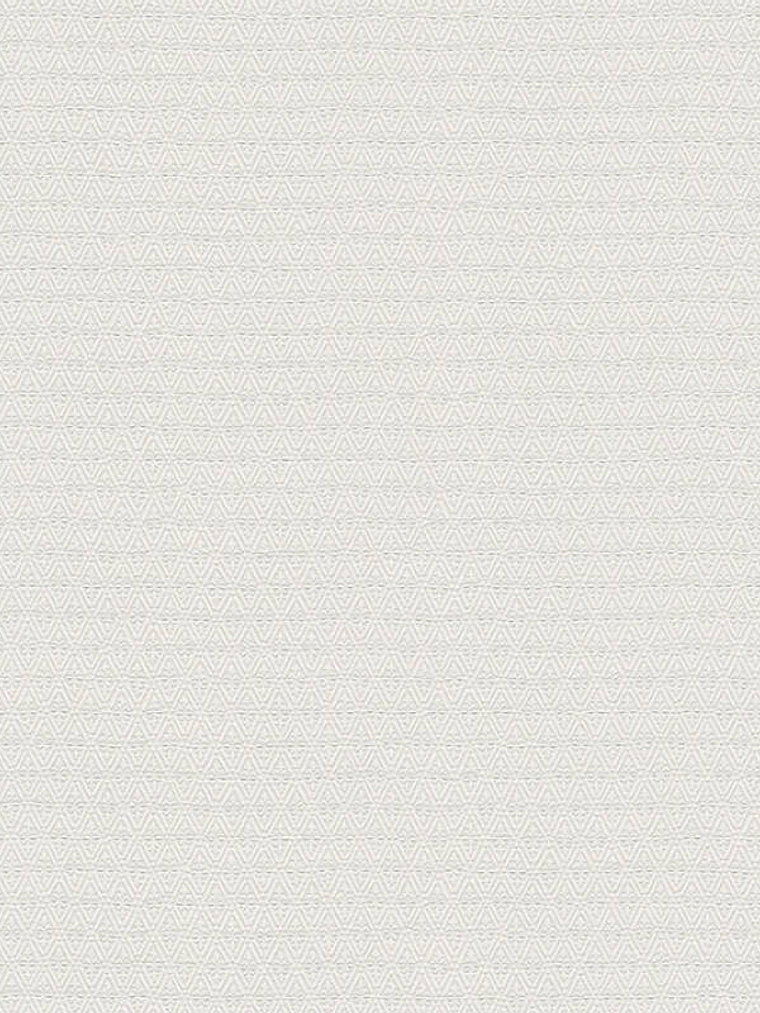 374713 (3 CM) - ASIAN FUSION 1