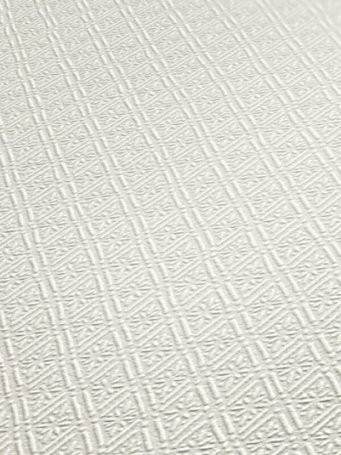 374713 (3 CM) - ASIAN FUSION 2