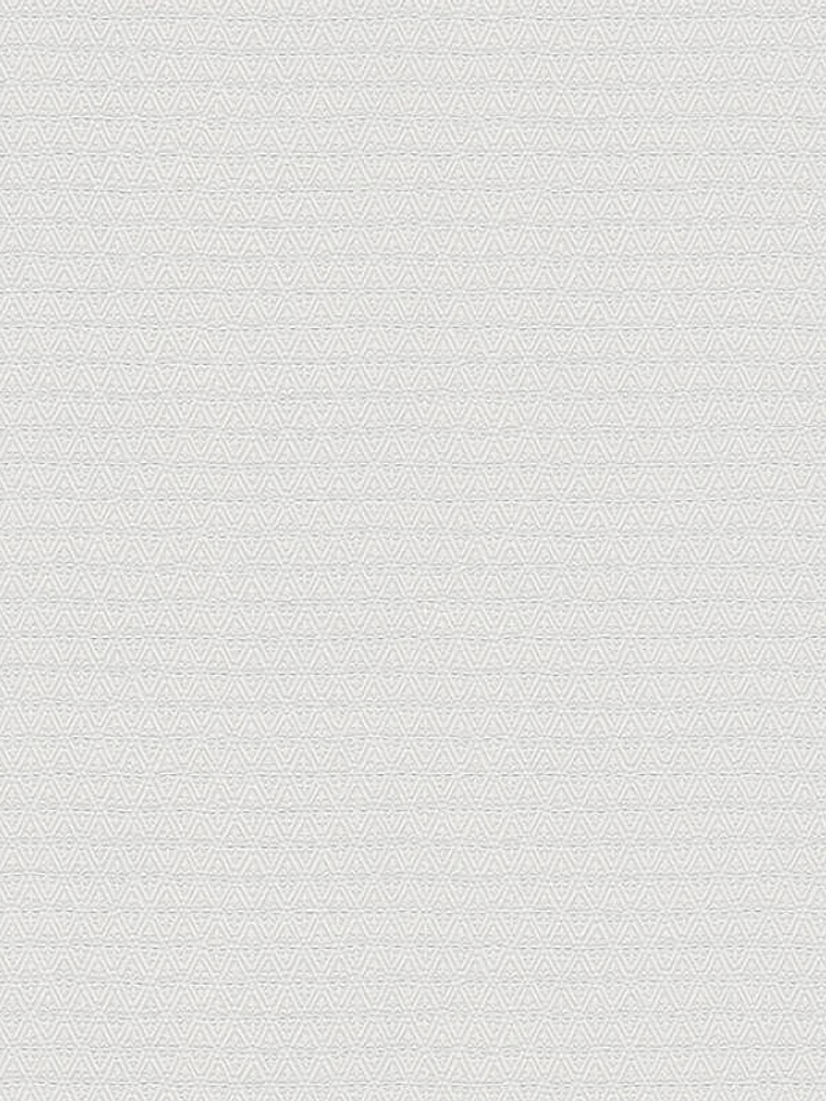 374714 (3 CM) - ASIAN FUSION 1