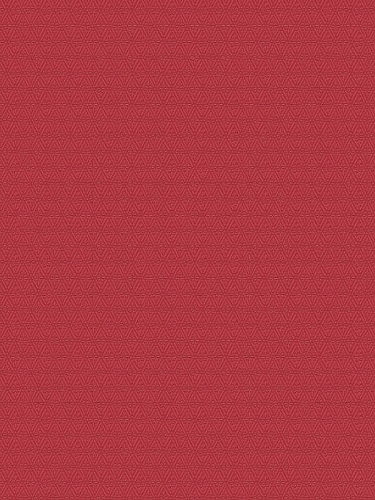 374715 (3 CM) - ASIAN FUSION 2