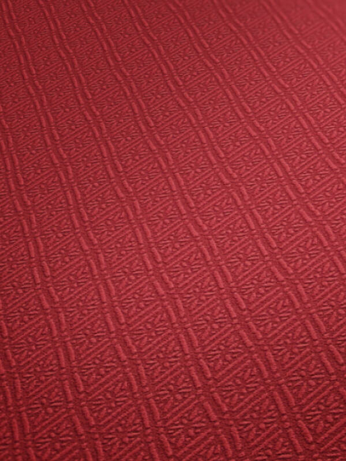 374715 (3 CM) - ASIAN FUSION 1