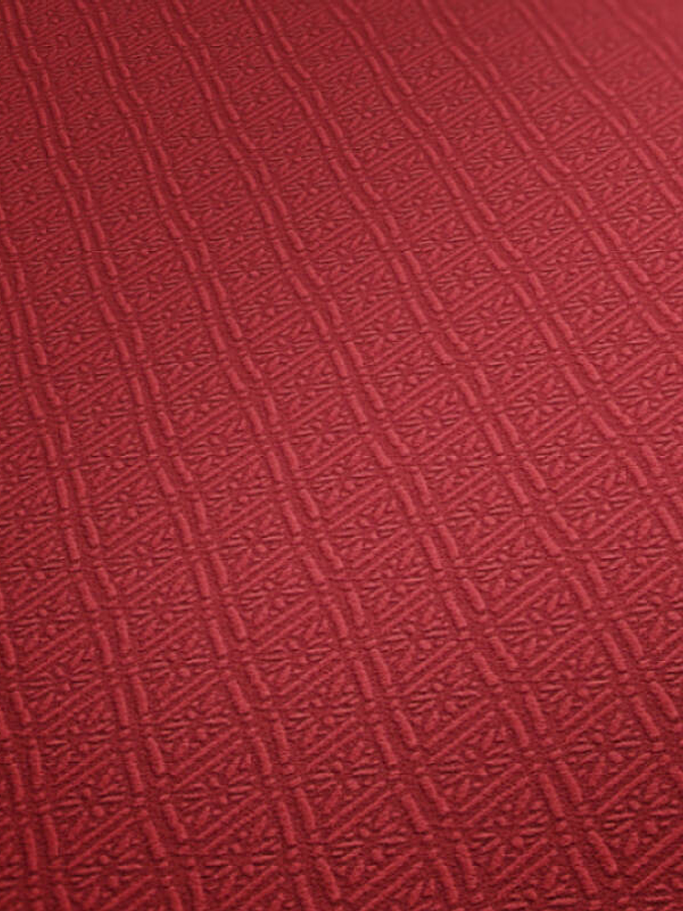 374715 (3 CM) - ASIAN FUSION 1