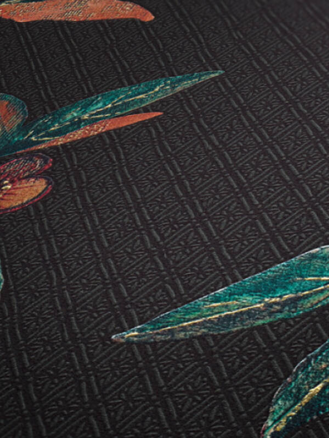 374721 (3 CM) - ASIAN FUSION 2