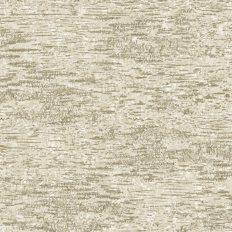  EO00242 (53cm) -CHELWOOD -  INGLATERRA                      