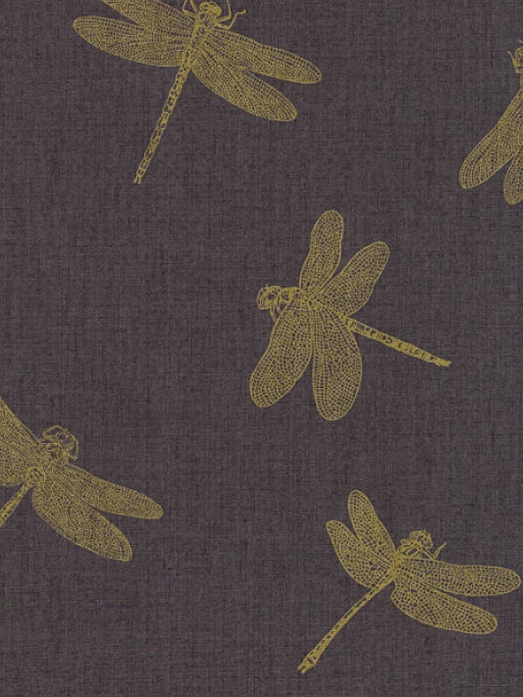 FOUR SEASON - 358973 (64 CM) 1