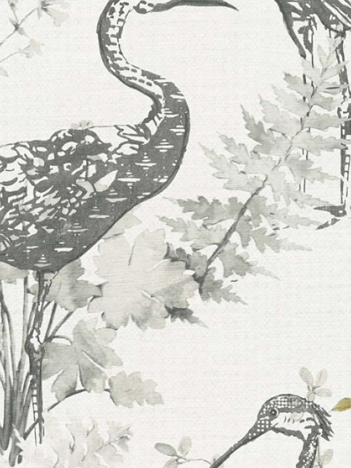 FOUR SEASON - 360923 (64 CM) 1