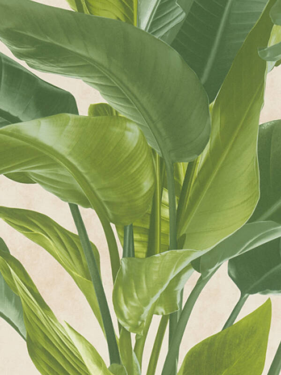  378623 (64/32CM)-METROPOLITAN STORIES 2  1