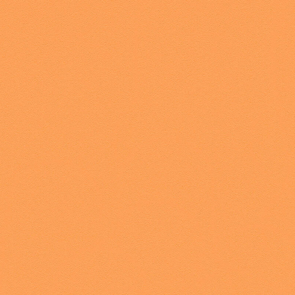 BOYS&GIRLS6 - 309587 (0CM) TNT 1