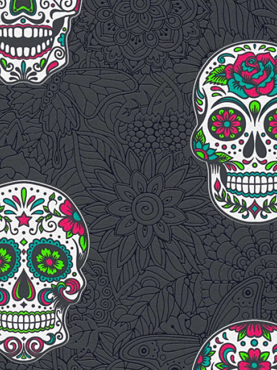 BOYS&GIRLS6 - 358173 (64CM) TNT 1