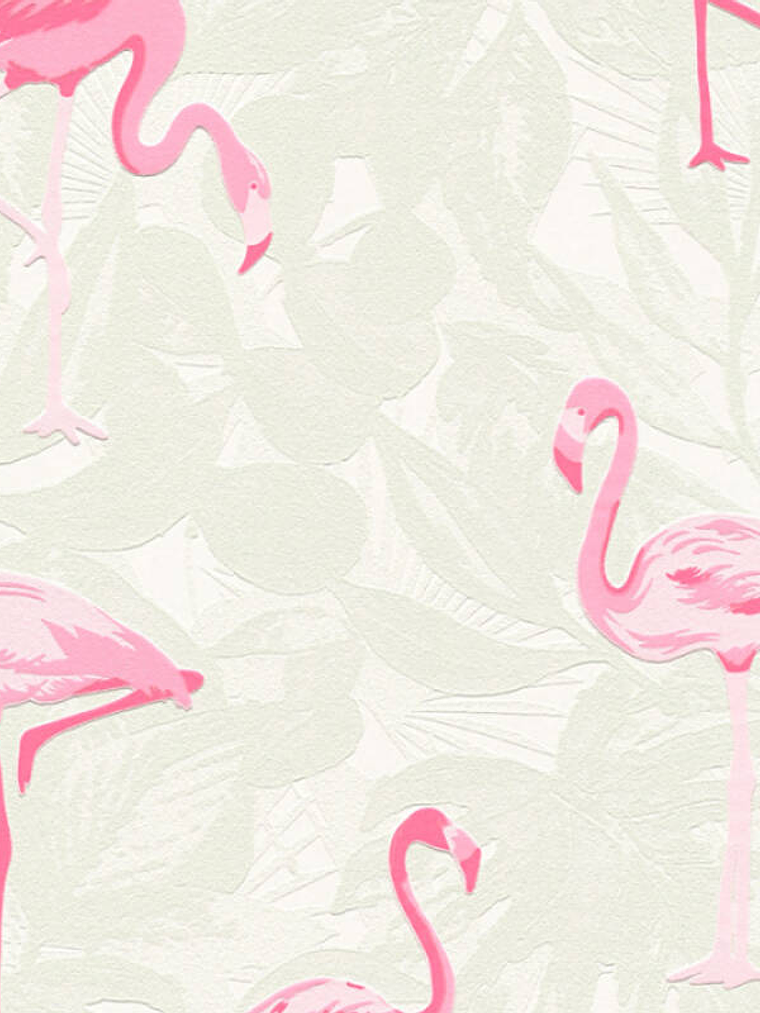 BOYS&GIRLS6 - 359801 (64CM) TNT 1