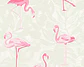 BOYS&GIRLS6 - 359801 (64CM) TNT - thumbnail 1