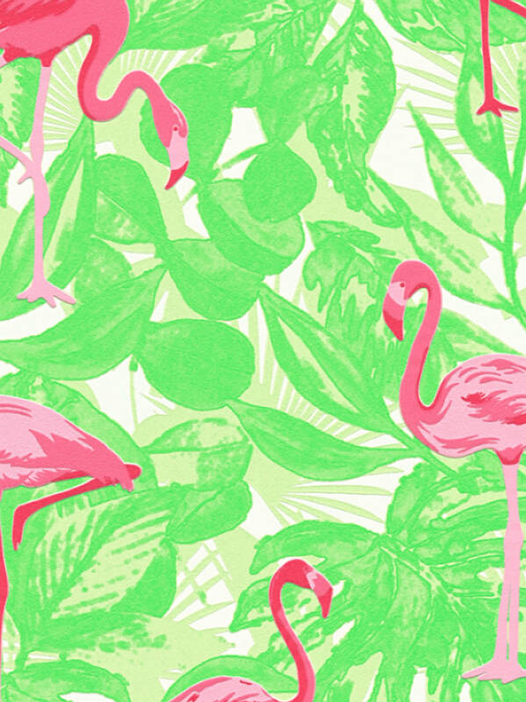 BOYS&GIRLS6 - 359802 (64CM) TNT 1