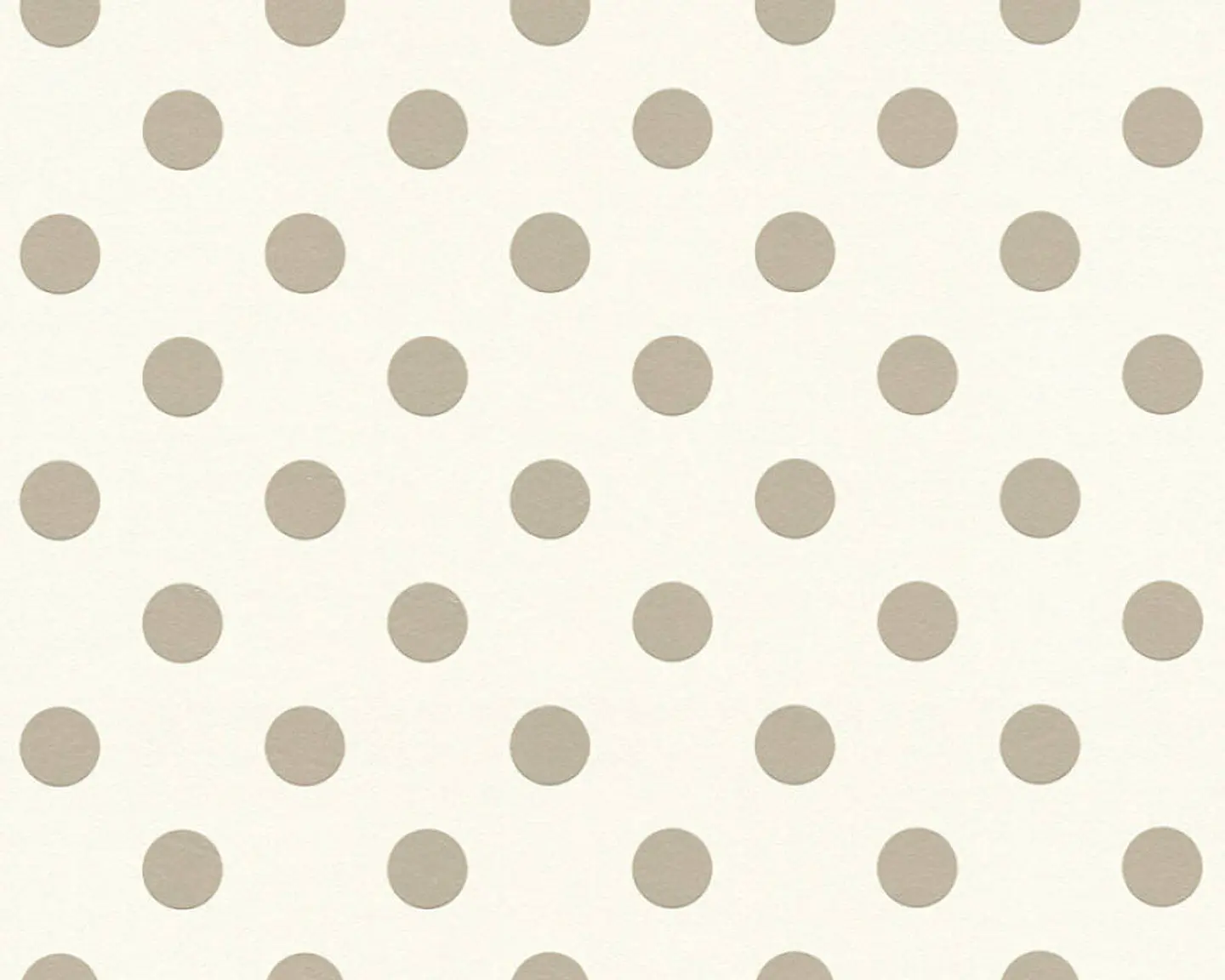 BOYS&GIRLS6 - 369341 (11CM) TNT 1