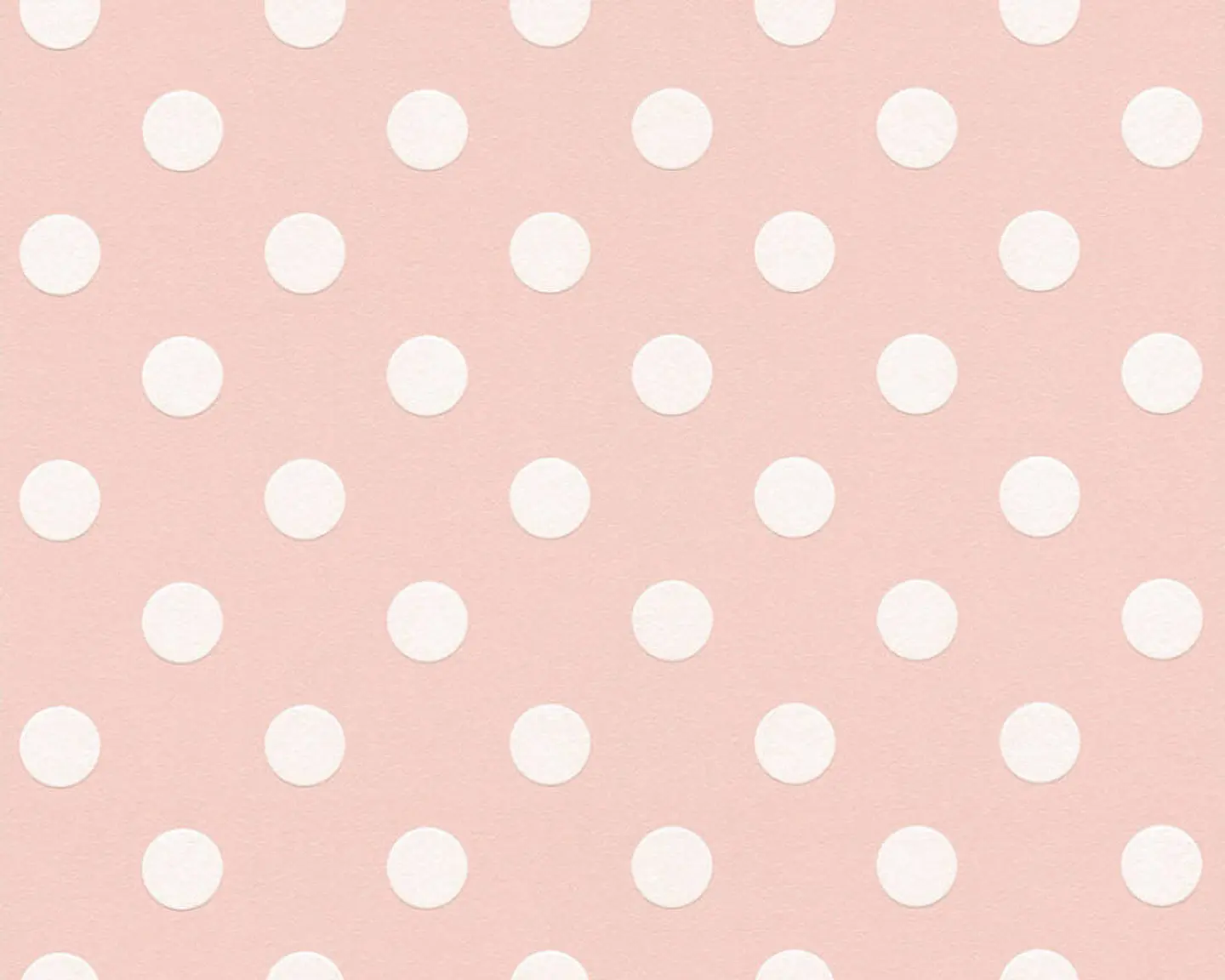 BOYS&GIRLS6 - 369343 (11CM) TNT 1