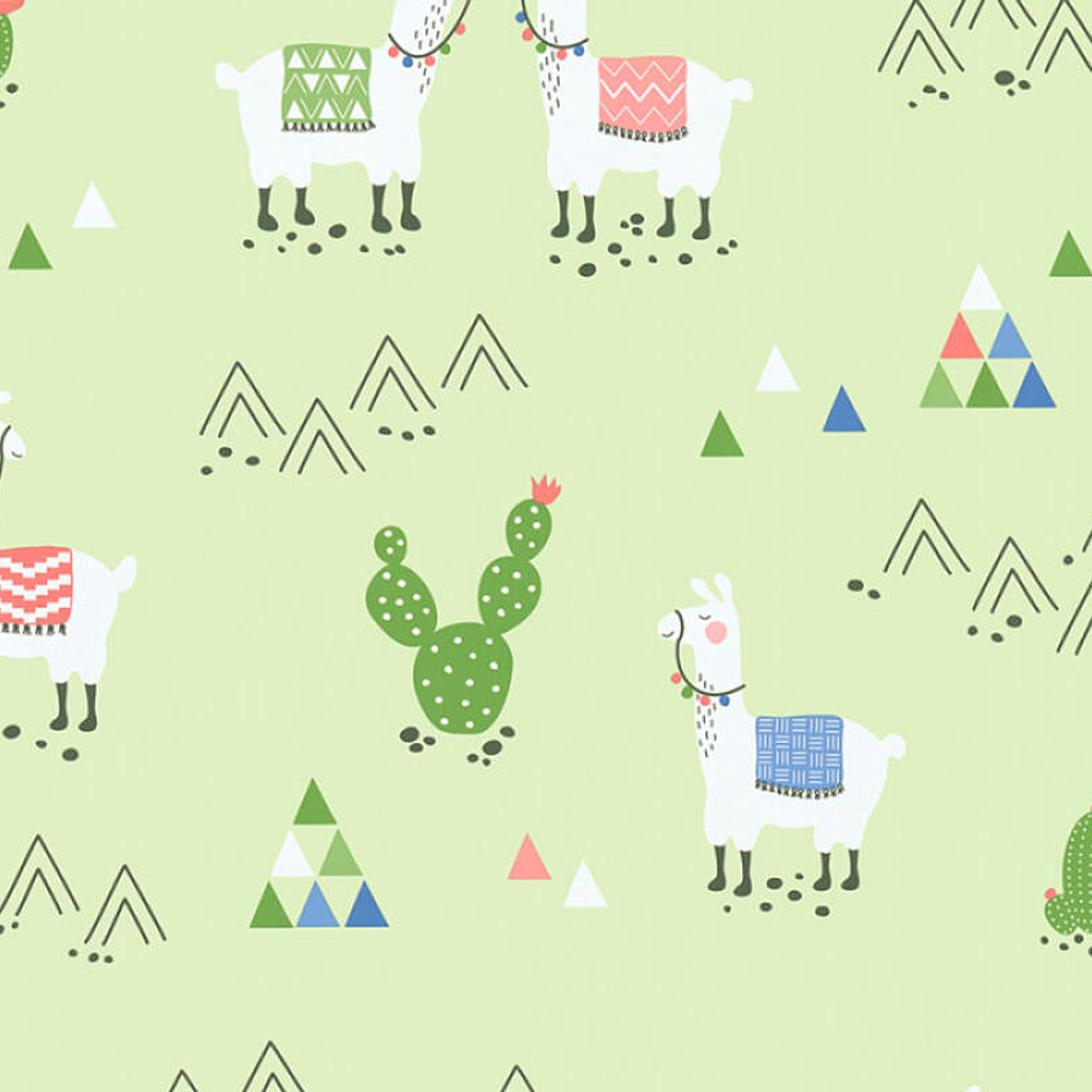 BOYS&GIRLS6 - 369852 (0CM) TNT 1