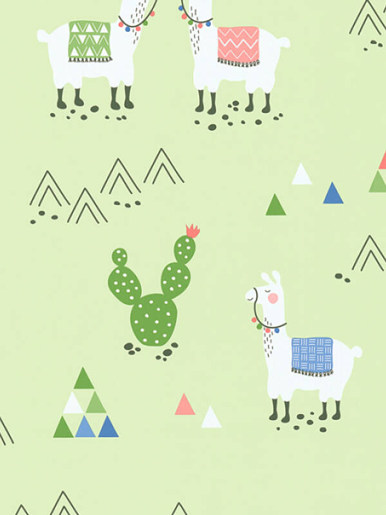 BOYS&GIRLS6 - 369852 (0CM) TNT 1