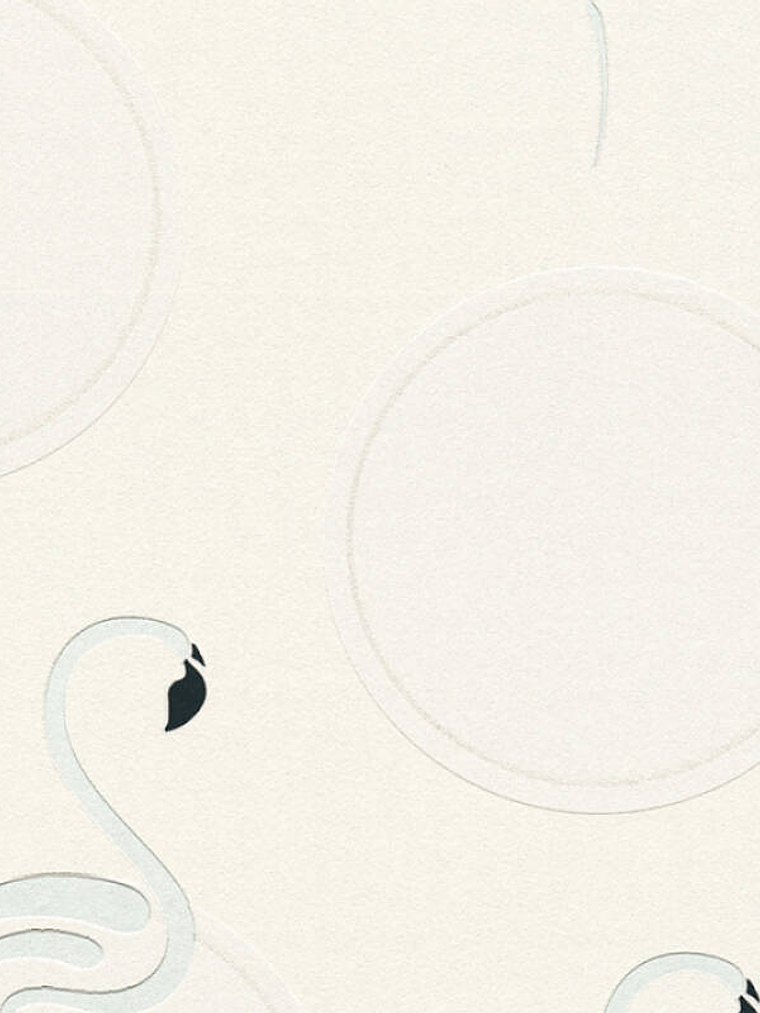 BOYS&GIRLS6 - 369981 (64CM) TNT  1