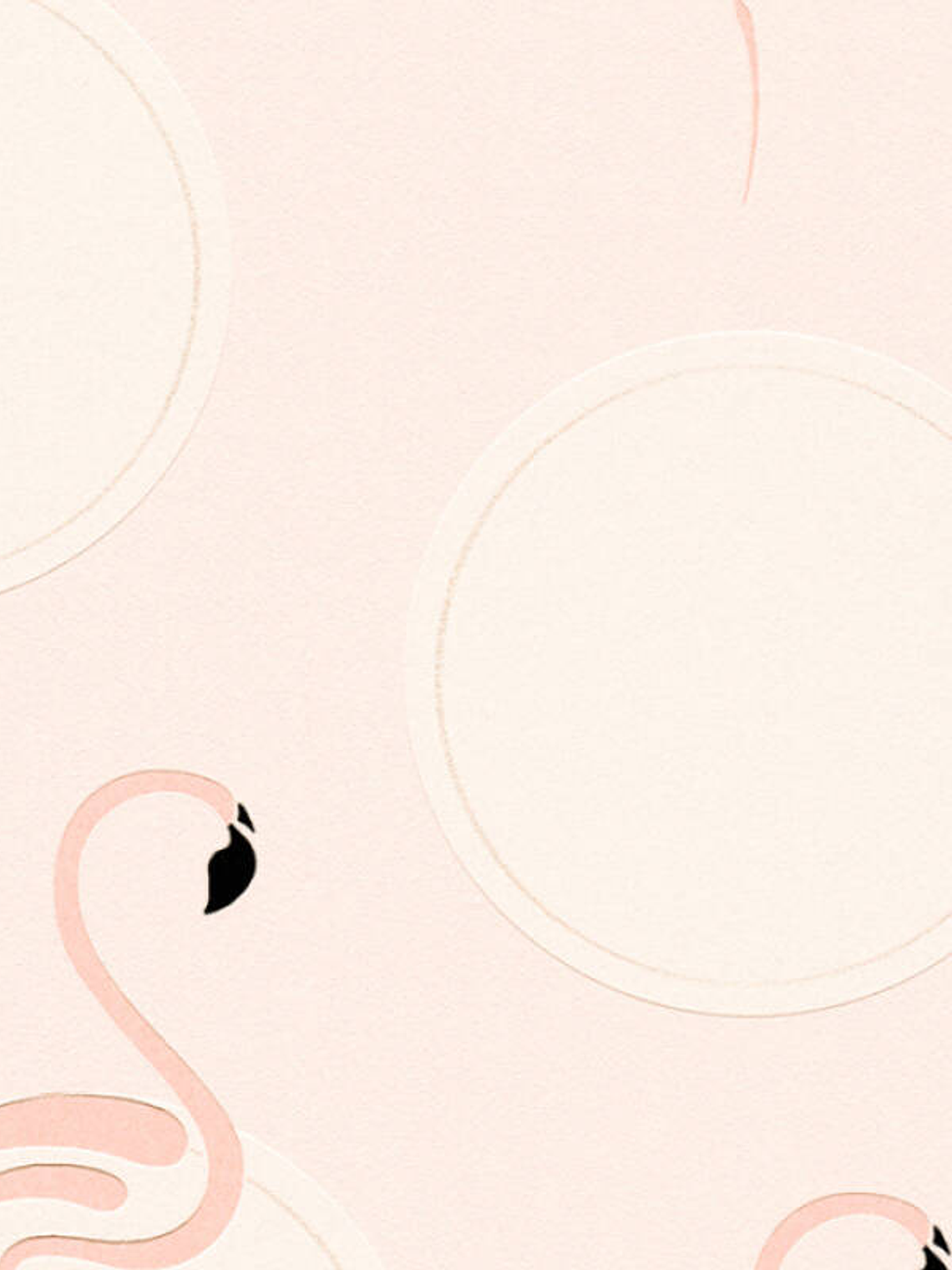 BOYS&GIRLS6 - 369983 (64CM) TNT  1