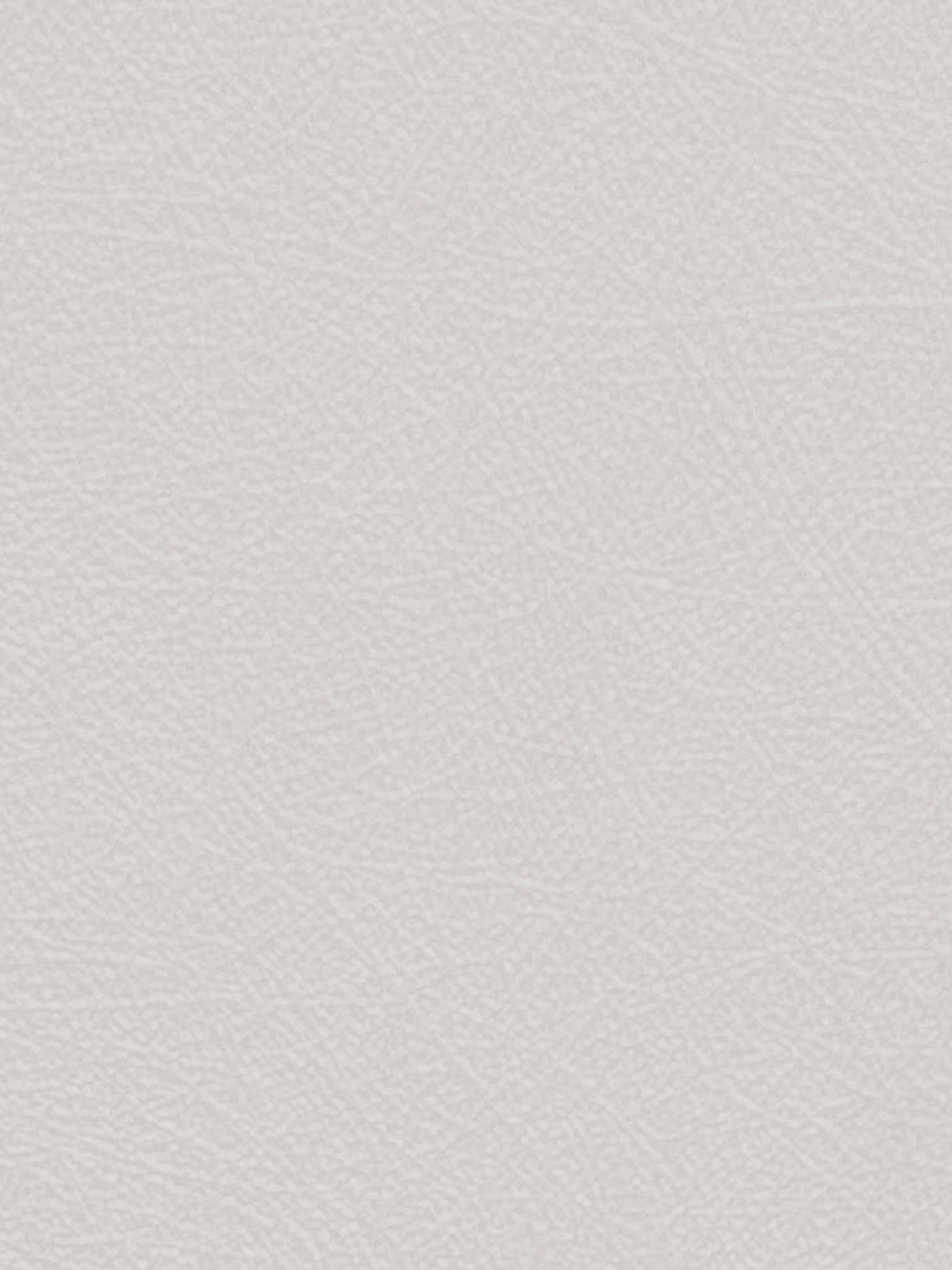 NEW AURORA - NA1003 (0cm)  G.D. 1