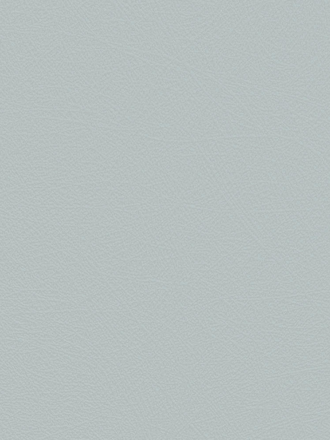 NEW AURORA - NA1106 (0cm)  G.D. 1