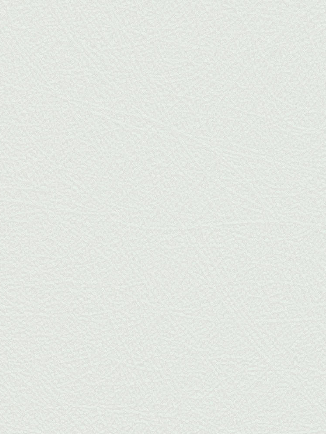 NEW AURORA - NA1107 (0cm)  G.D. 1