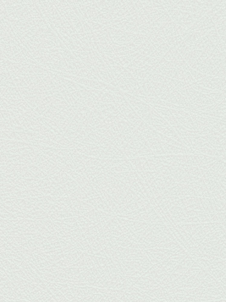 NEW AURORA - NA1107 (0cm)  G.D. 1