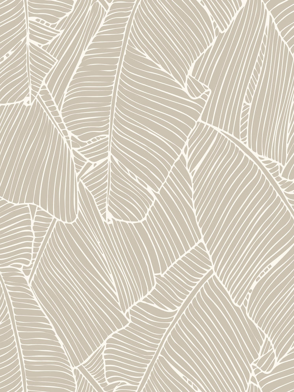 NEW AURORA - NA3303 (64cm)  G.D. 1