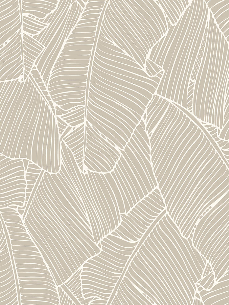 NEW AURORA - NA3303 (64cm)  G.D. 1