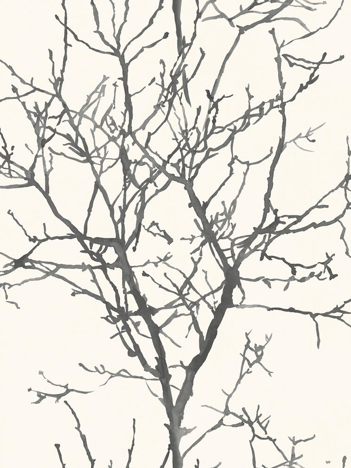 NEW AURORA - NA3404 (53cm)  G.D. 1