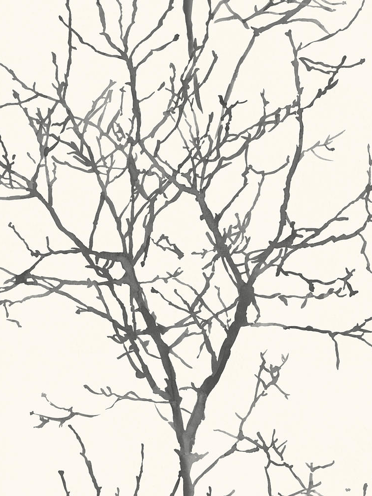 NEW AURORA - NA3404 (53cm)  G.D. 1