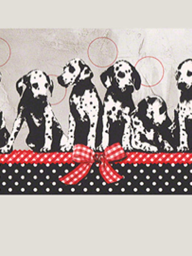  936281  GUARDA ( 0cms) - BOYS & GIRLS 4   1