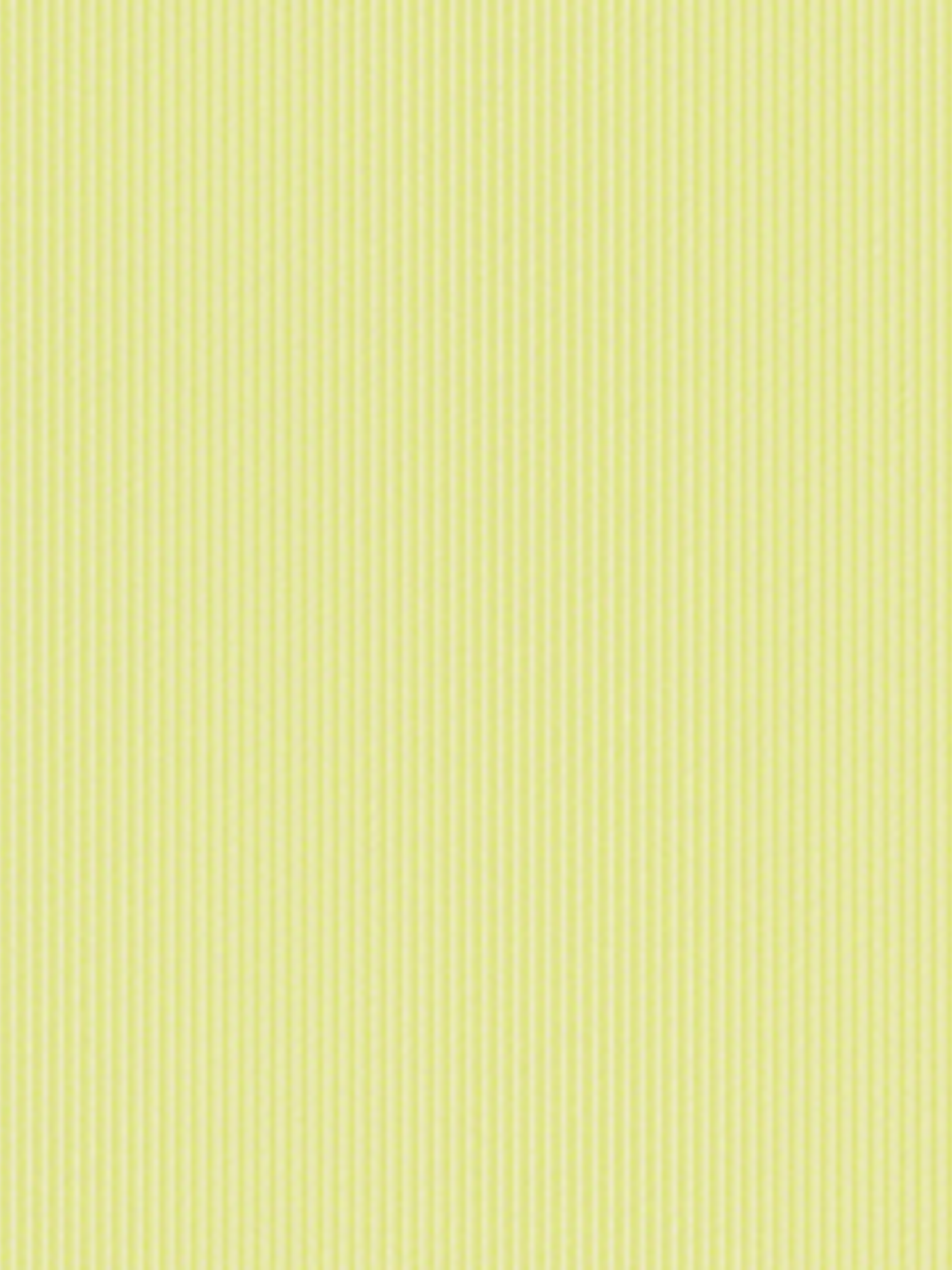 BOYS & GIRLS 5 & 4  -  908773  (LISO 0cm) 1