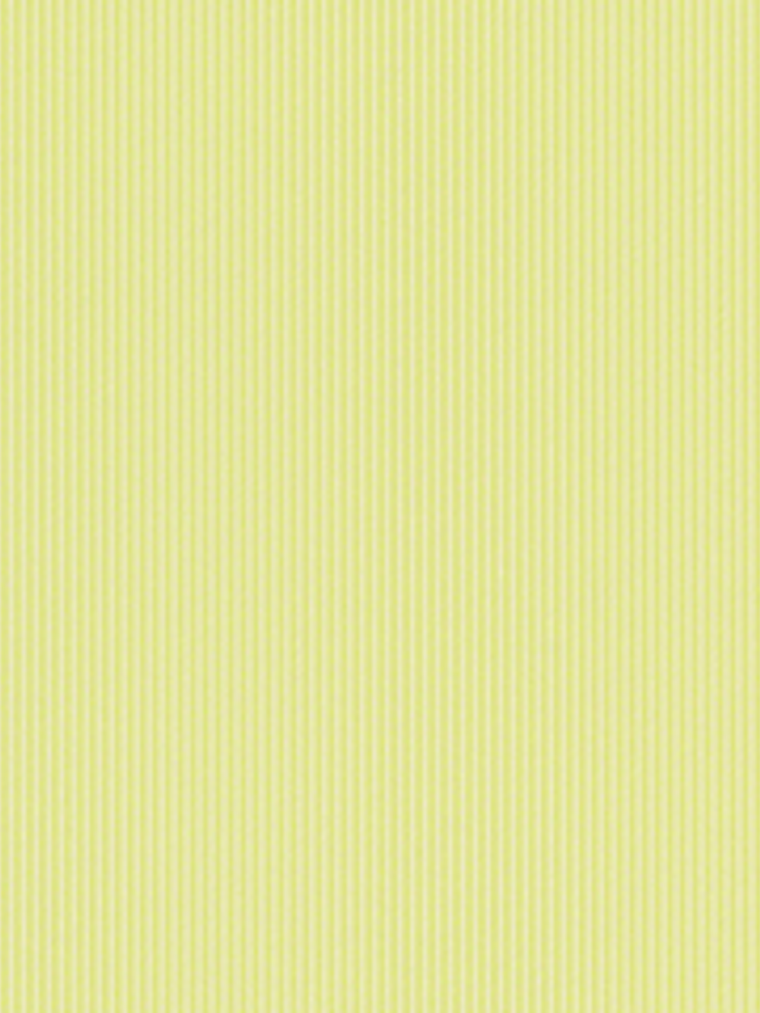 BOYS & GIRLS 5 & 4  -  908773  (LISO 0cm) 1