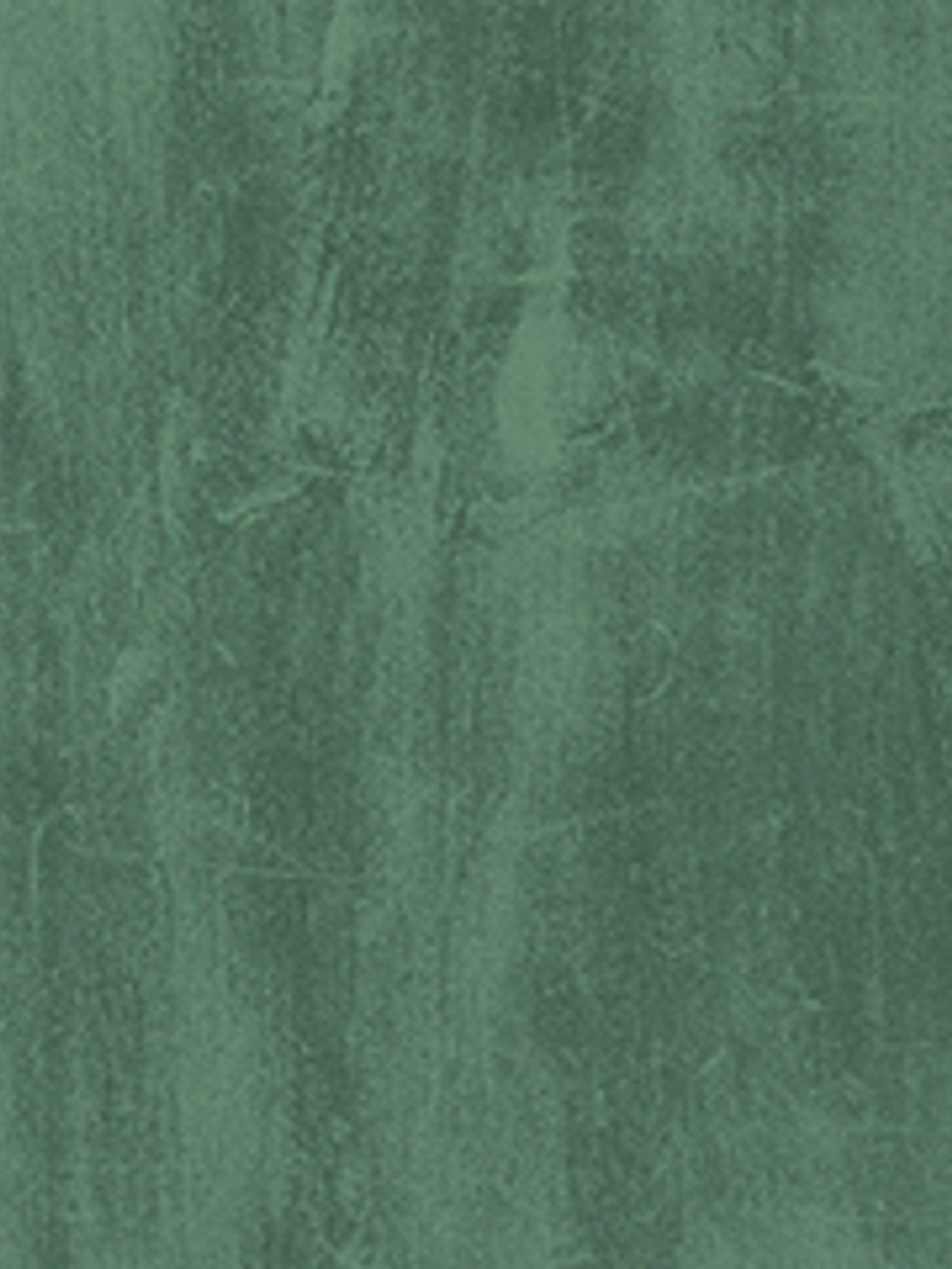 BOYS & GIRLS 5 -  304662  -  (LISO 0cm) - TNT 1