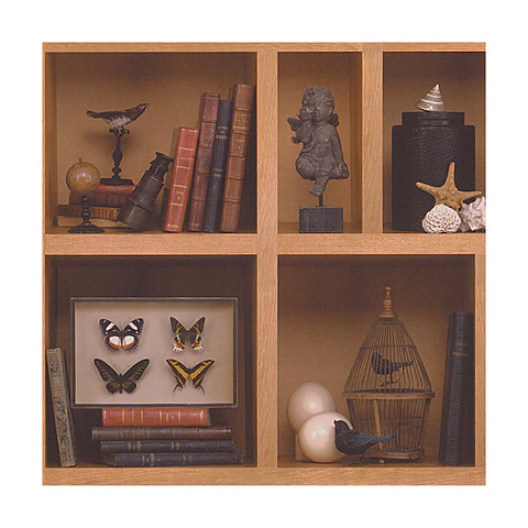 GEOM. & PATRON - MOVE Y.W.- 960301 (64cm)