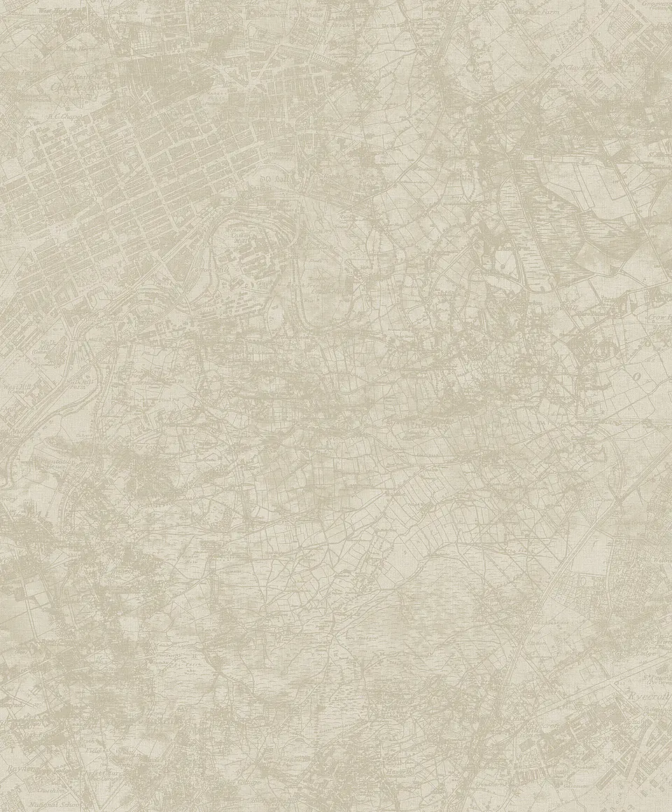 GEOM. & PATRON - SPLENDOUR - SD1102 (64cm) 1