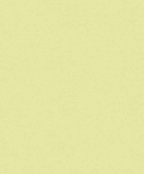 GEOM. & PATRON - UNPLUGGED - UN1008 (0cm) 