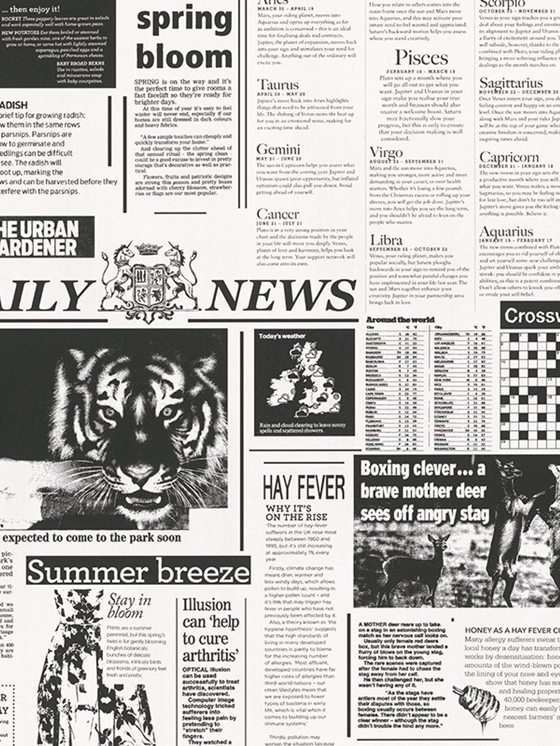 GEOM. & PATRON - DEKORA NATUR 6 - 856012 (64cm) 1