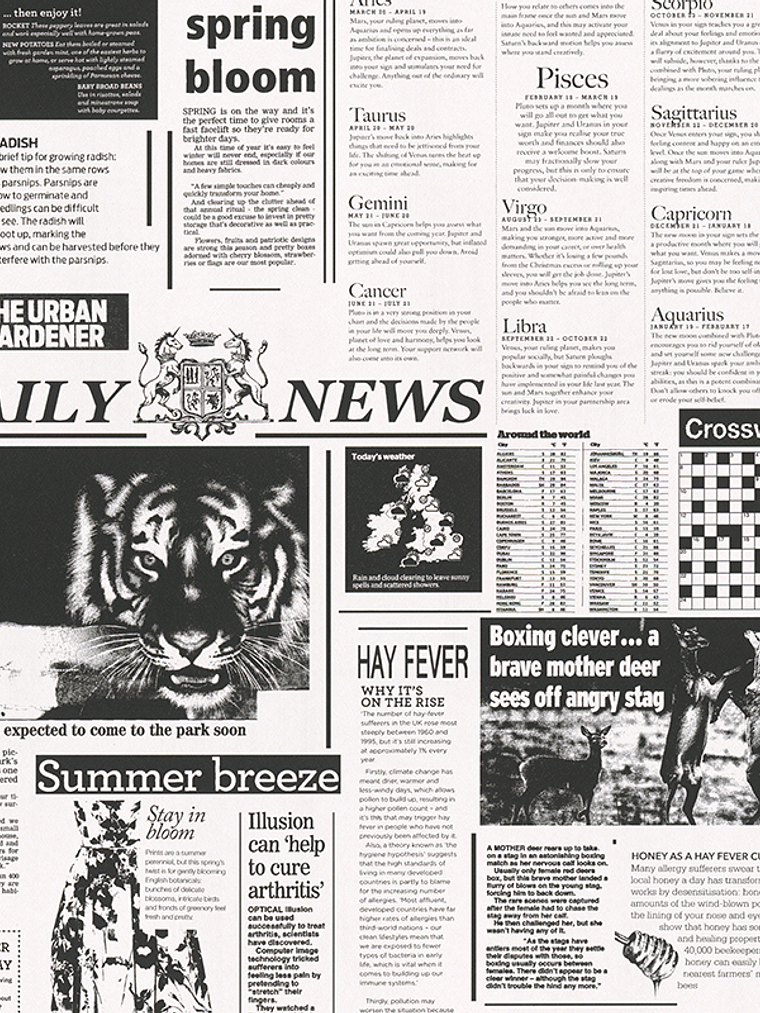 GEOM. & PATRON - DEKORA NATUR 6 - 856012 (64cm) 1