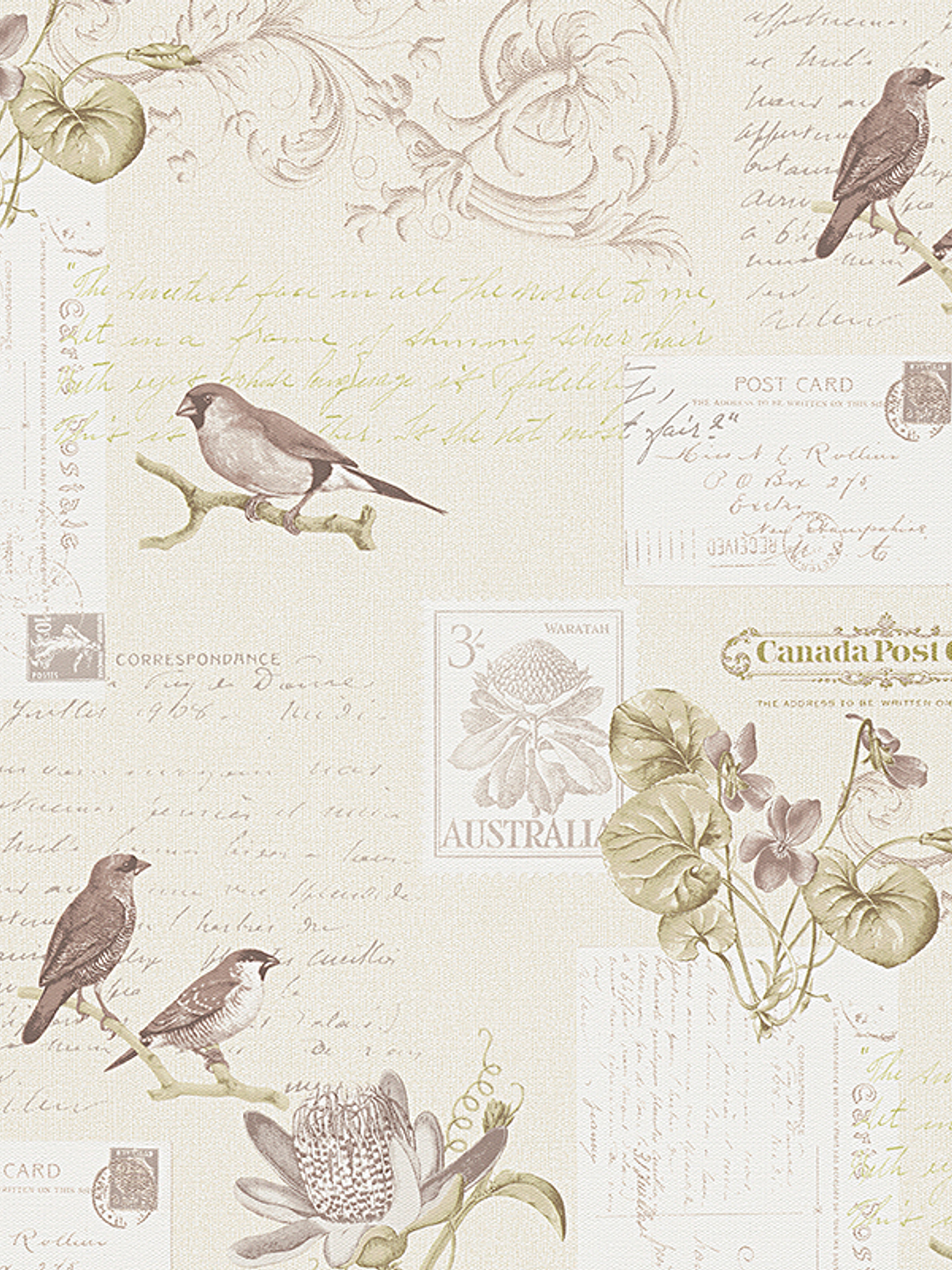 GEOM. & PATRON - DEKORA NATUR 6 - 959481 (53cm) 1