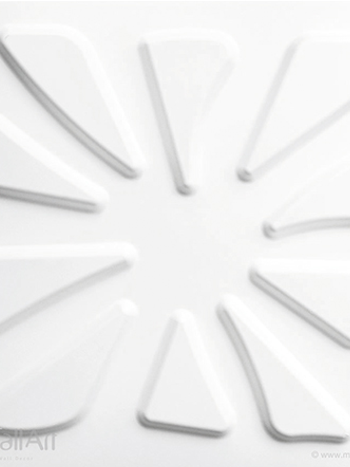 CARYOTAS - PANEL 3D  1