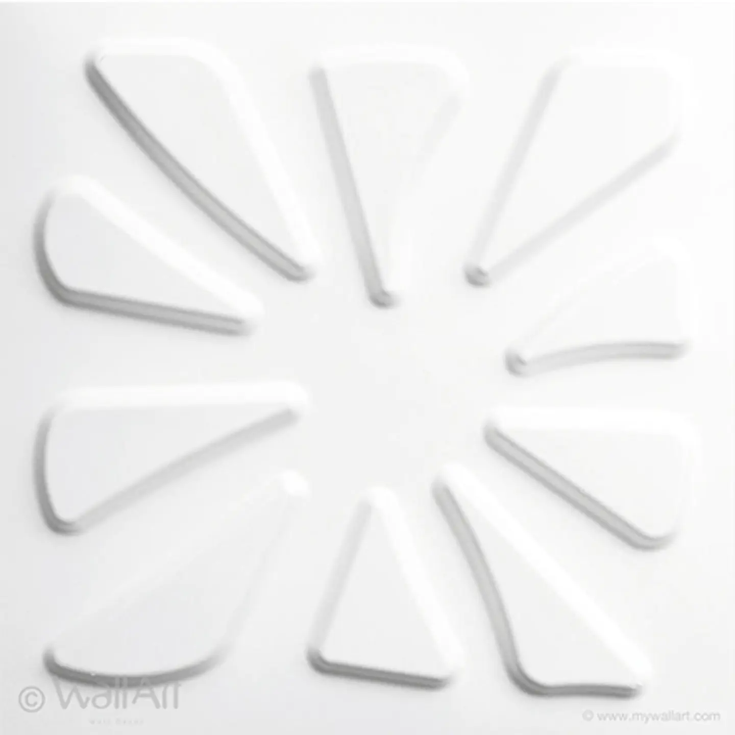 CARYOTAS - PANEL 3D  1