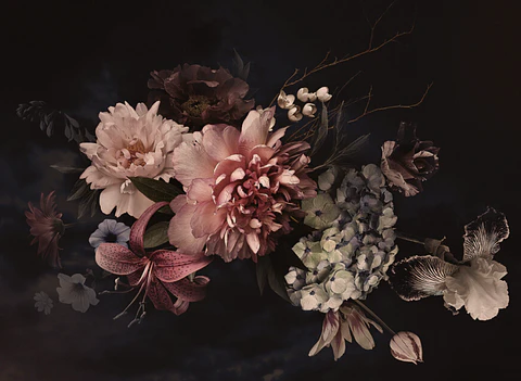 BLOSSOM VARIETY 1