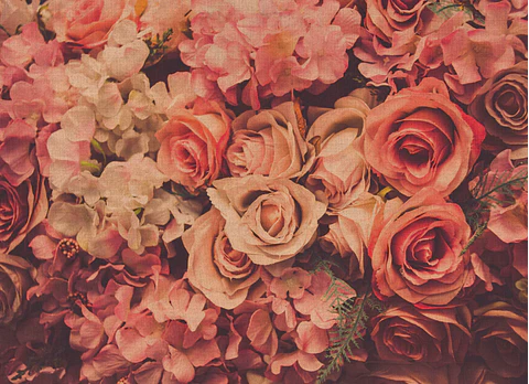 FLOWER WALL 
