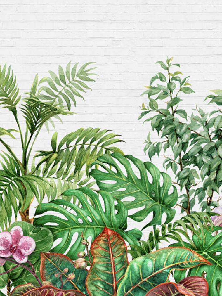 TROPICAL WALL 1 1