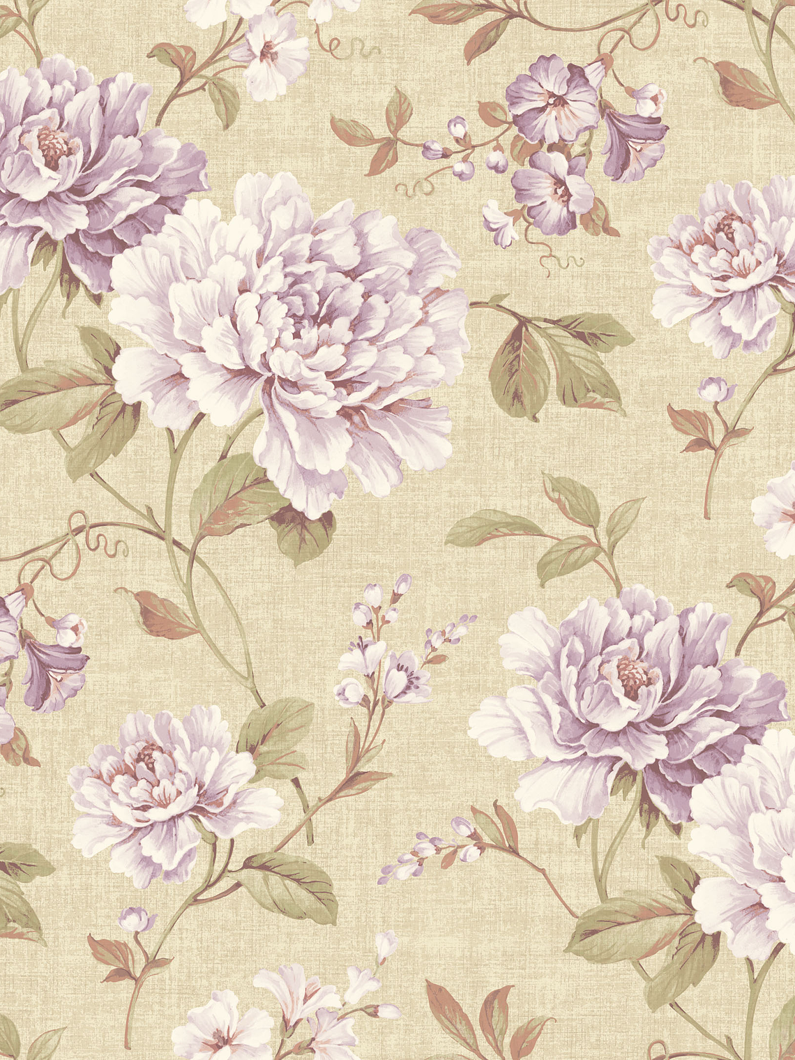 VILLA MEDICI - (64cm) - VMB003067 1