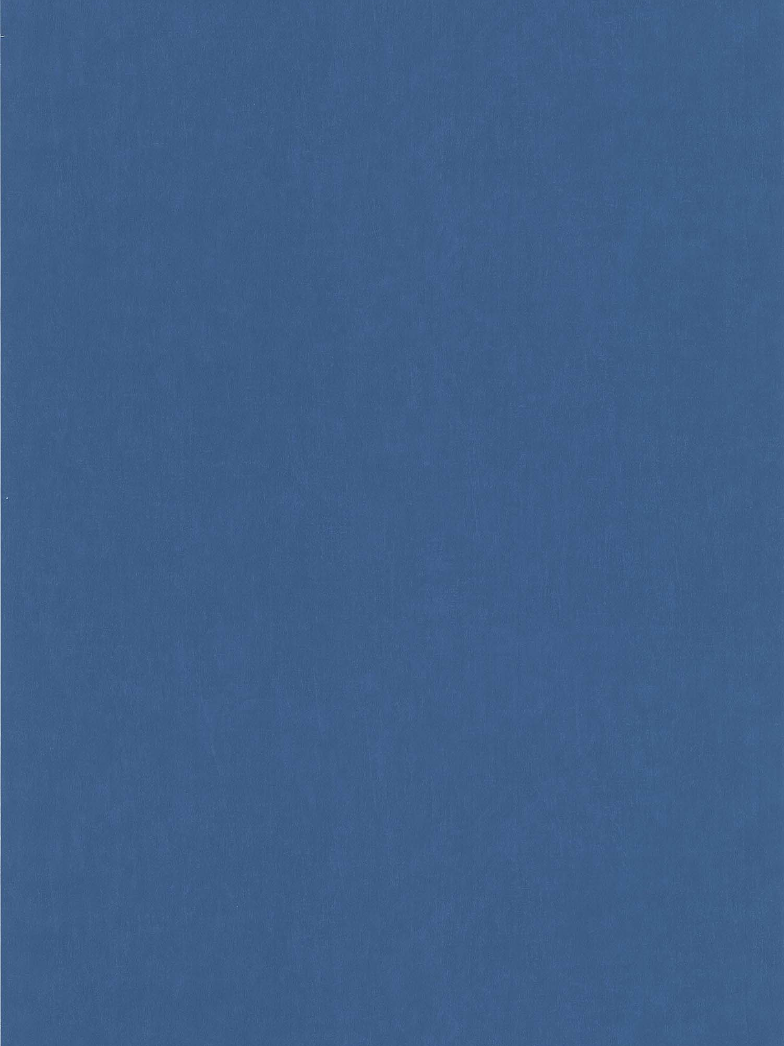 11163331 - LES PETITS CURIEUX - (0CM)     4